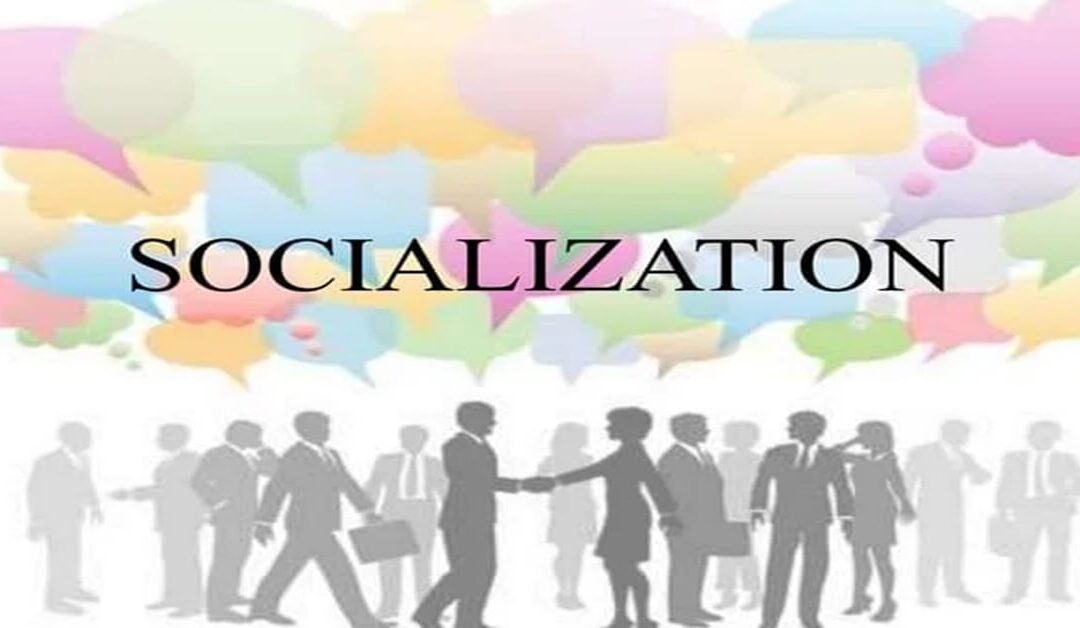 Importance of Socialization