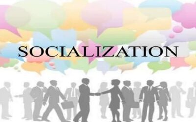 Importance of Socialization