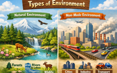 ಪರಿಸರದ ವಿಧಗಳು