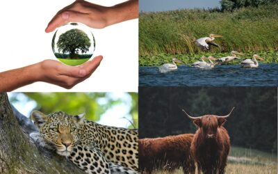 ಸುಸ್ಥಿರ ಪ್ರವಾಸೋದ್ಯಮದ ನೀತಿ ಸಂಹಿತೆ (Code of conduct for Sustained Tourism)