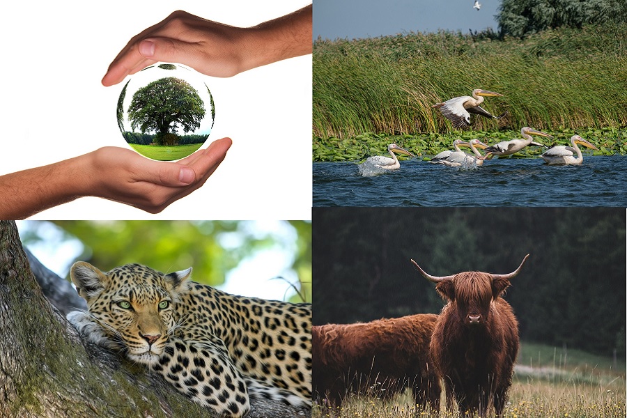 ಸುಸ್ಥಿರ ಪ್ರವಾಸೋದ್ಯಮದ ನೀತಿ ಸಂಹಿತೆ (Code of conduct for Sustained Tourism)